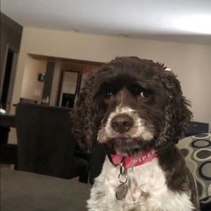 Meet your Posher, Jason